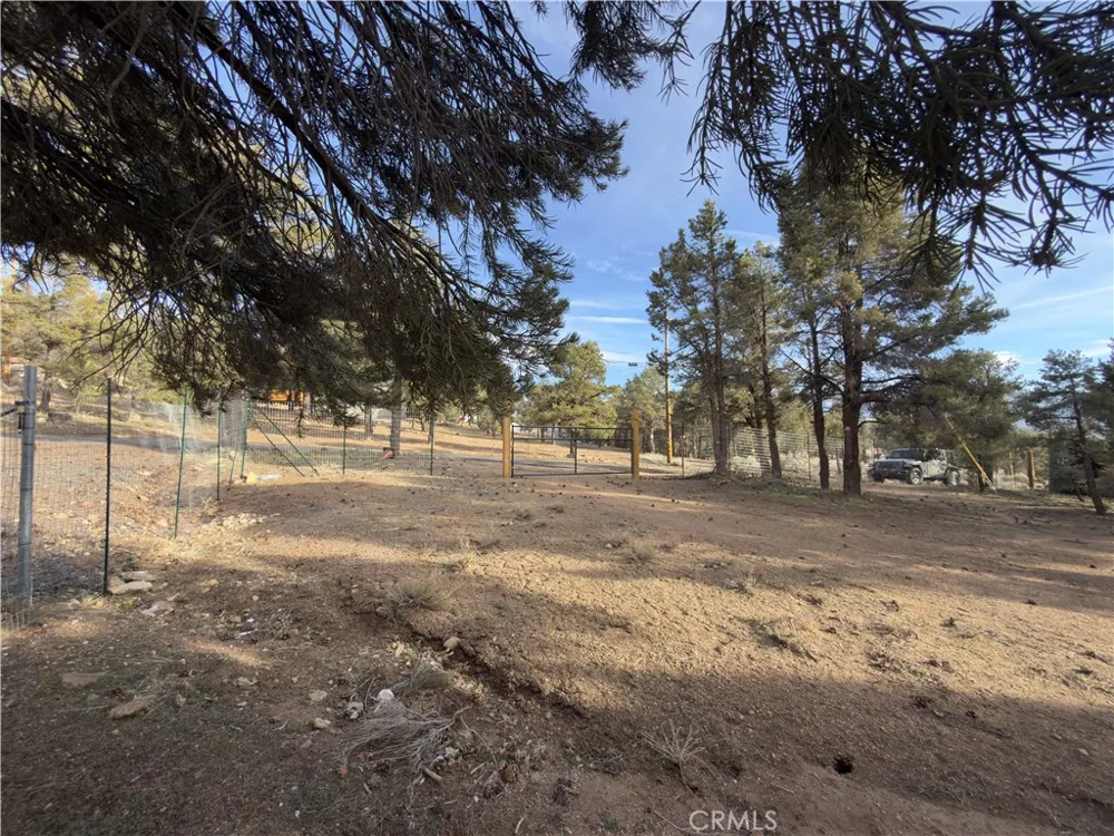 1820 Golden Rod Big Bear City, CA 92314