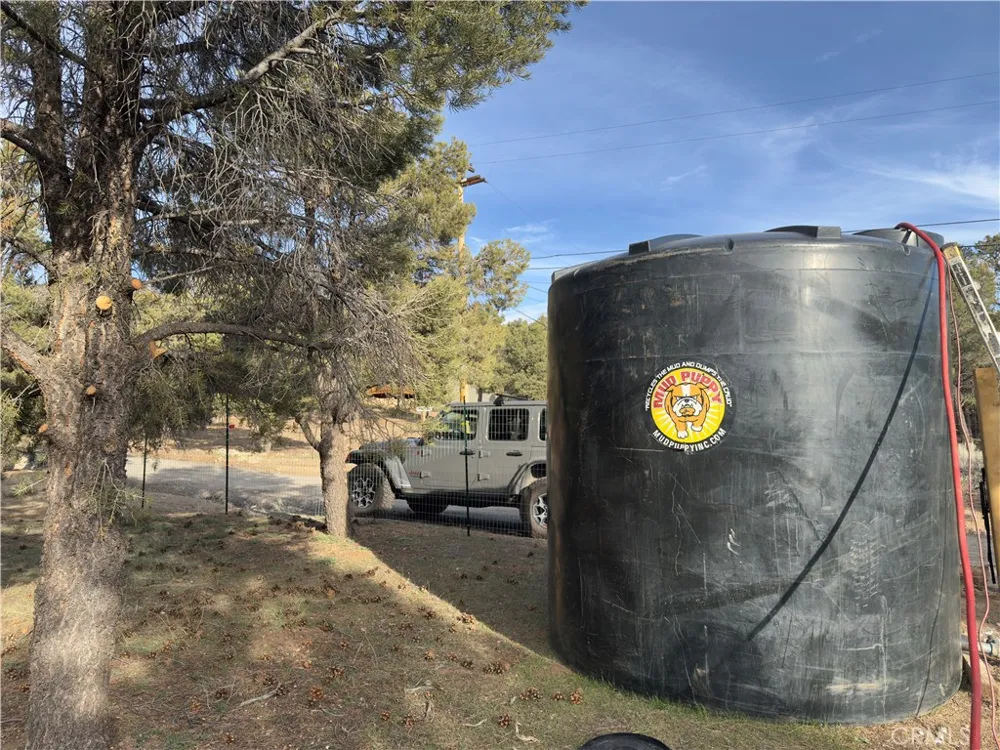 1820 Golden Rod Big Bear City, CA 92314