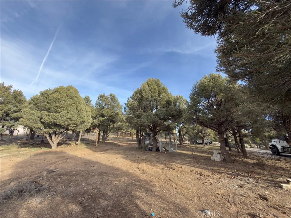 1820 Golden Rod Big Bear City, CA 92314