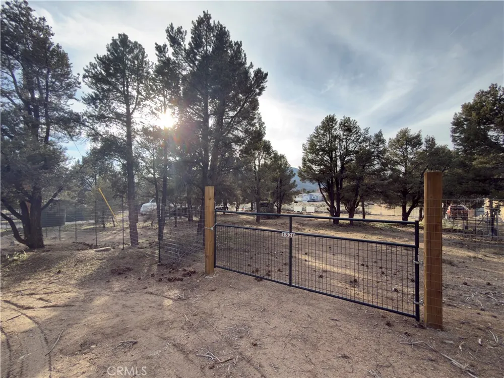1820 Golden Rod Big Bear City, CA 92314