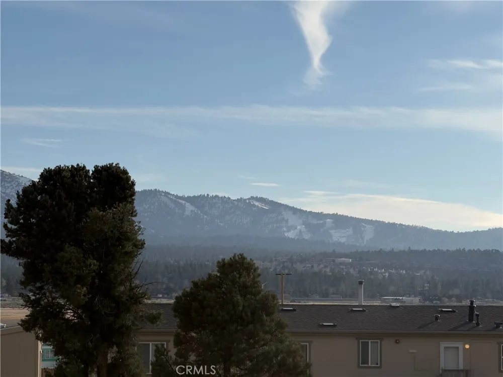 1820 Golden Rod Big Bear City, CA 92314