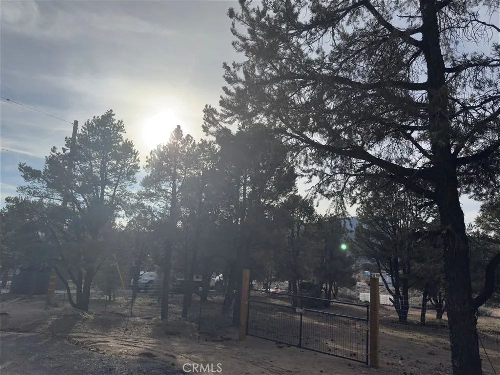 1820 Golden Rod Big Bear City, CA 92314