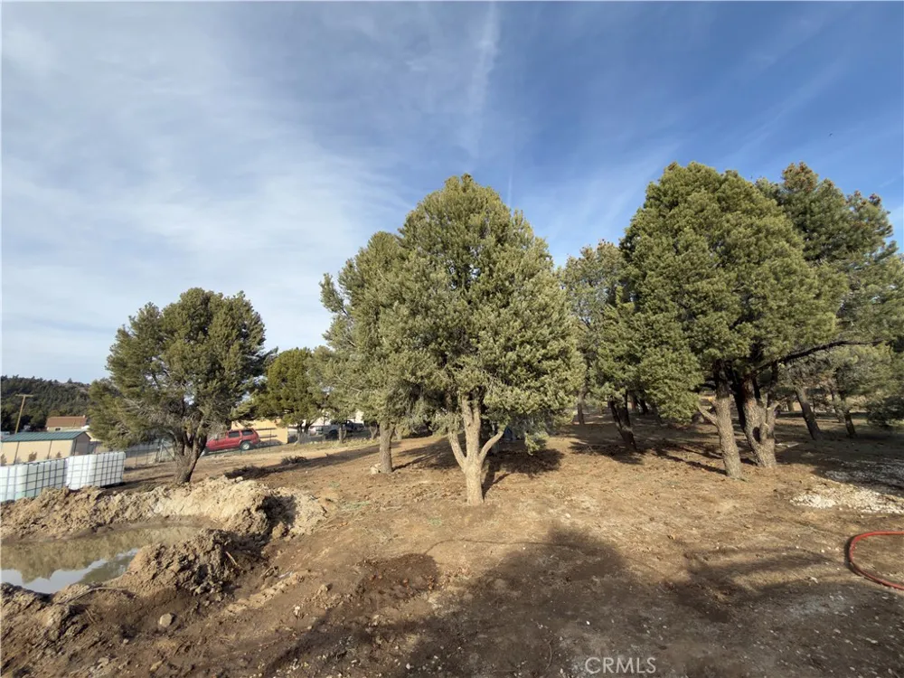 1820 Golden Rod Big Bear City, CA 92314