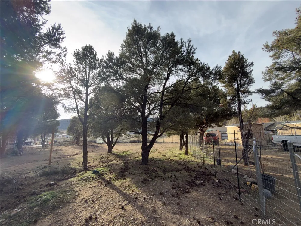 1820 Golden Rod Big Bear City, CA 92314