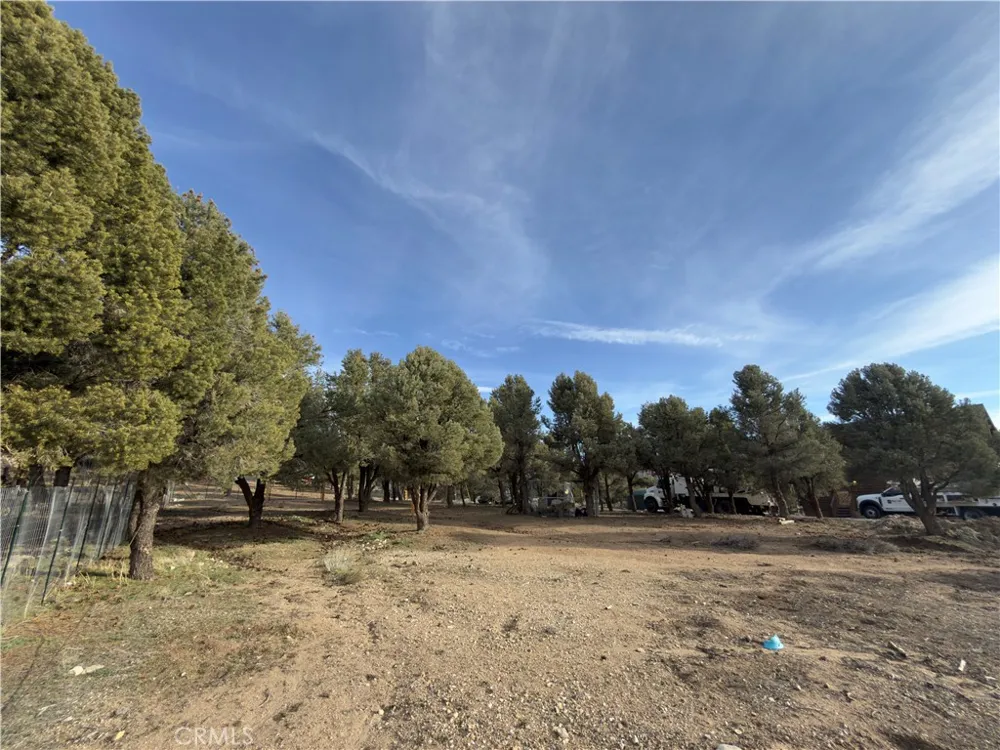 1820 Golden Rod Big Bear City, CA 92314