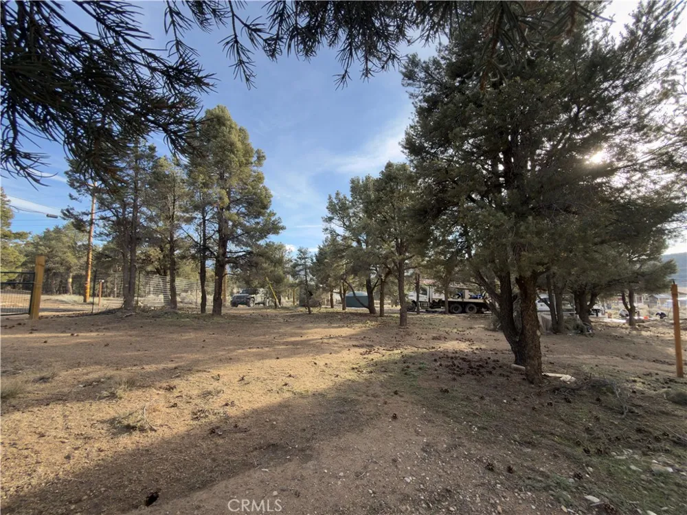 1820 Golden Rod Big Bear City, CA 92314