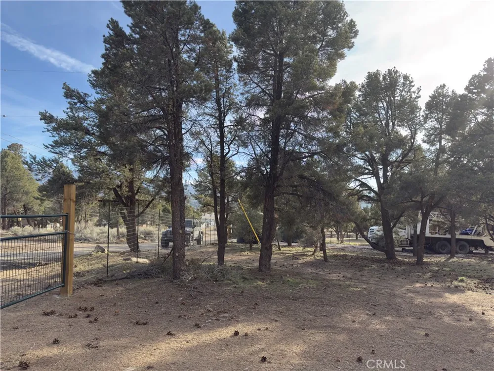 1820 Golden Rod Big Bear City, CA 92314