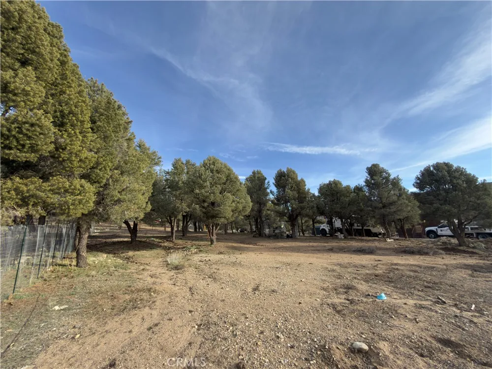 1820 Golden Rod Big Bear City, CA 92314