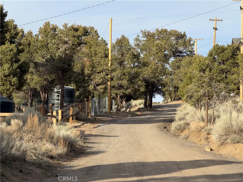 1820 Golden Rod Big Bear City, CA 92314