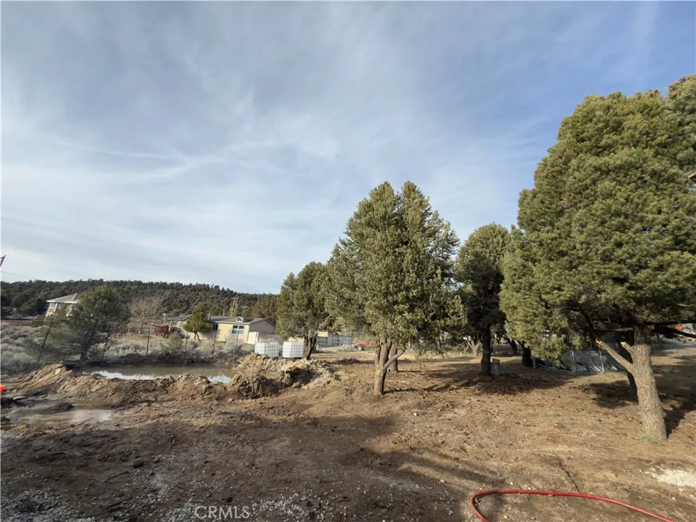 1820 Golden Rod Big Bear City, CA 92314