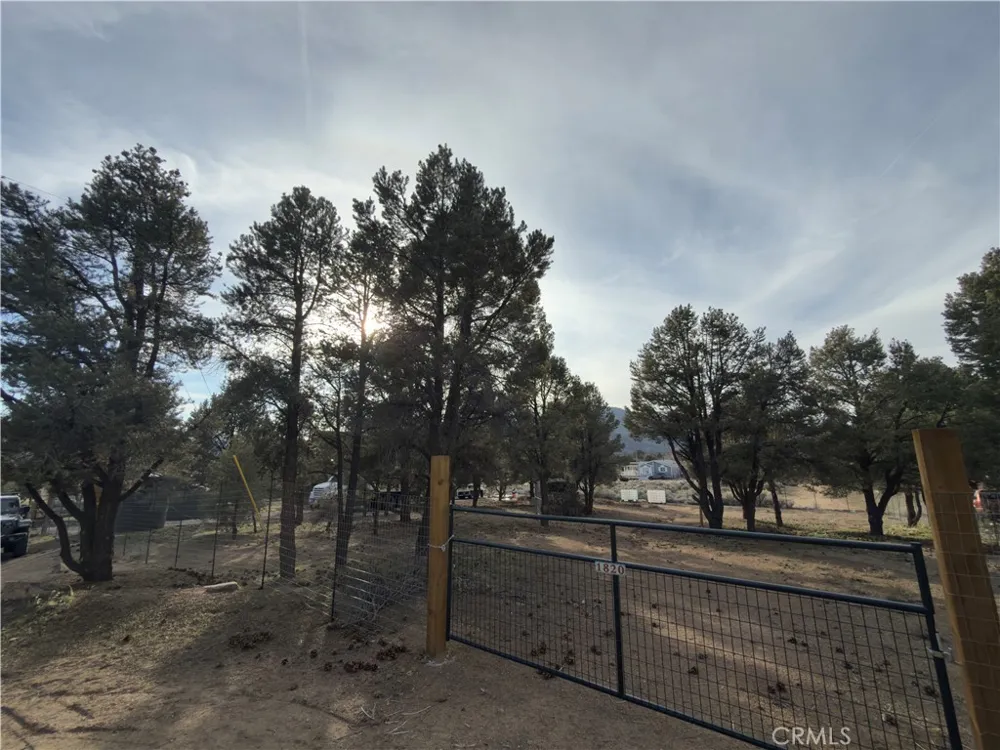 1820 Golden Rod Big Bear City, CA 92314