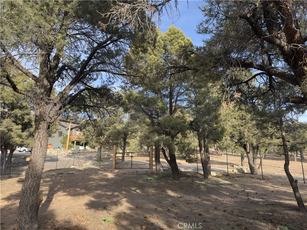 1820 Golden Rod Big Bear City, CA 92314
