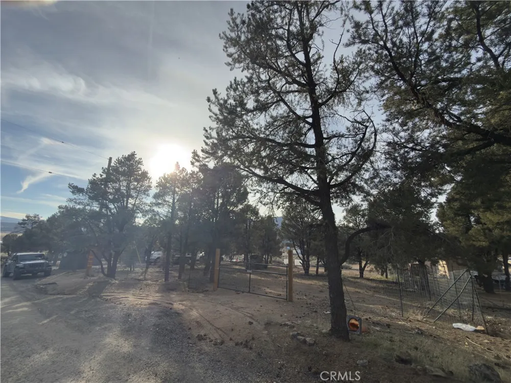 1820 Golden Rod Big Bear City, CA 92314