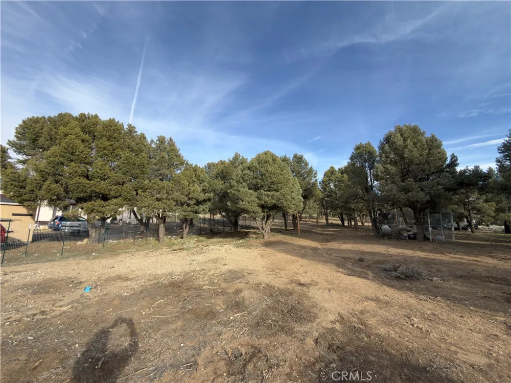 1820 Golden Rod Big Bear City, CA 92314