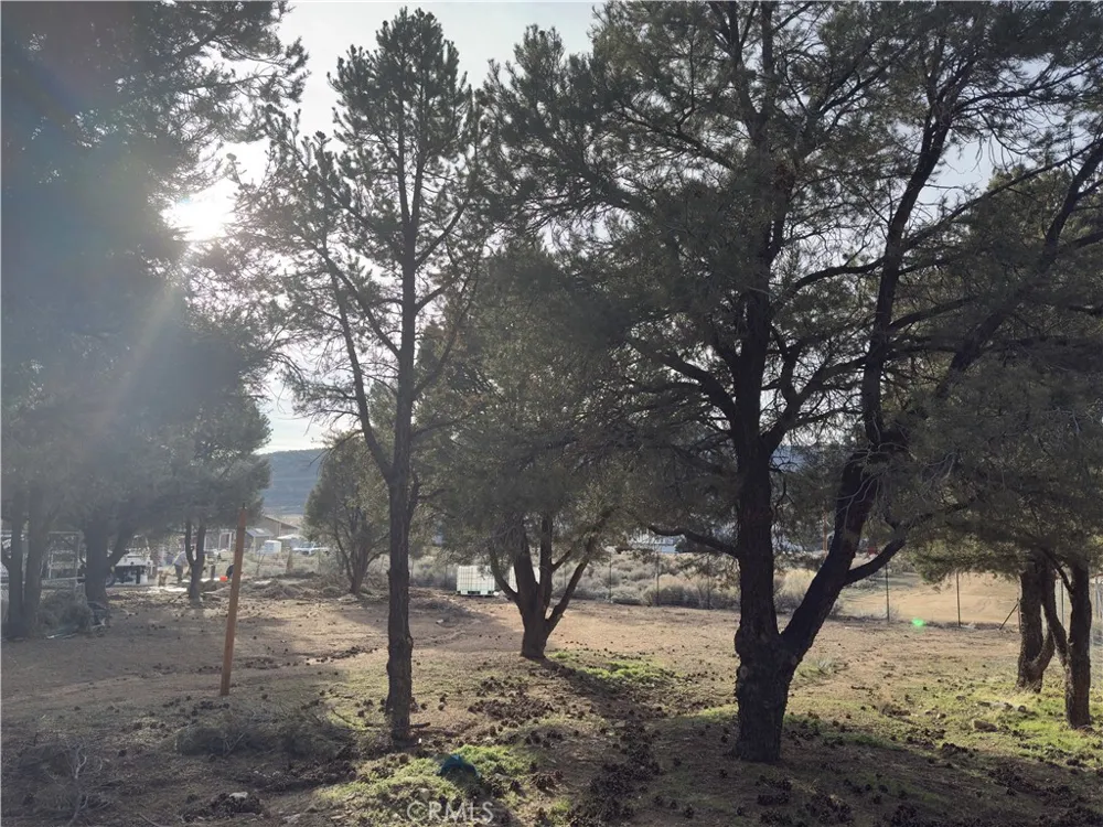 1820 Golden Rod Big Bear City, CA 92314