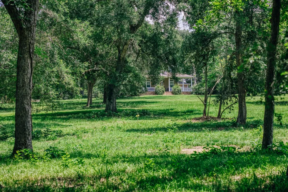 10822 Korthauer Bellville, TX 77418