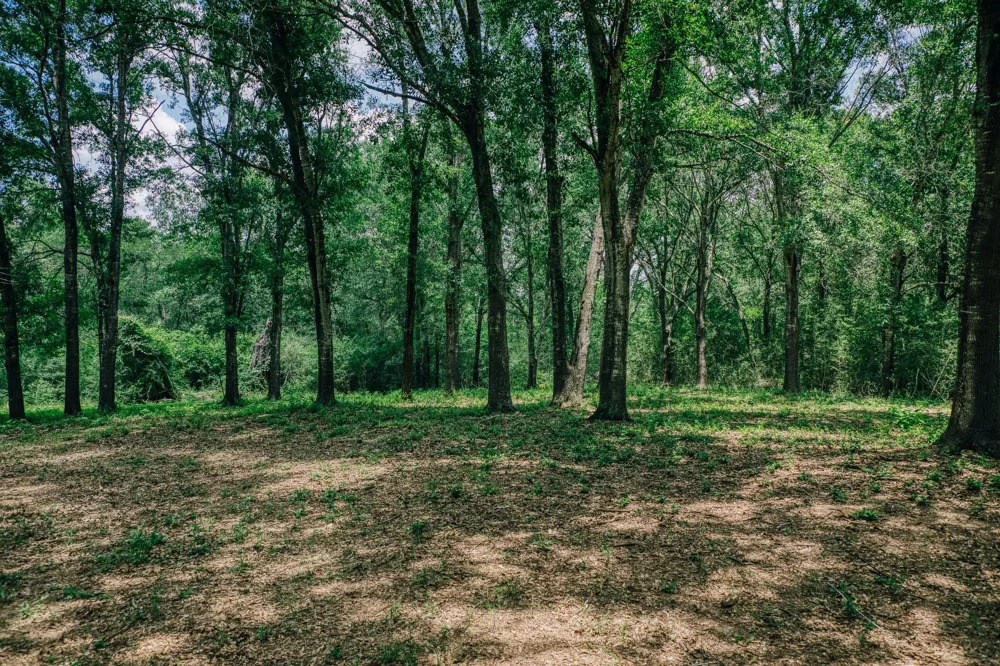 10822 Korthauer Bellville, TX 77418
