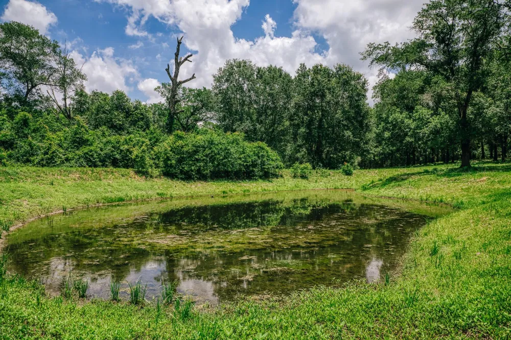 10822 Korthauer Bellville, TX 77418