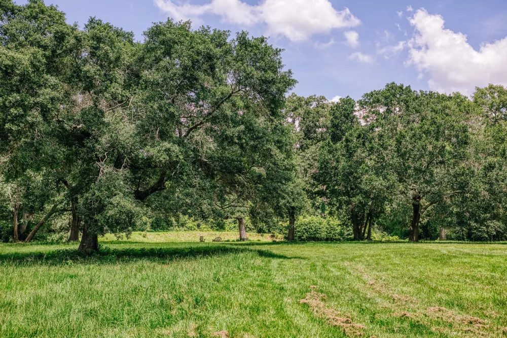 10822 Korthauer Bellville, TX 77418