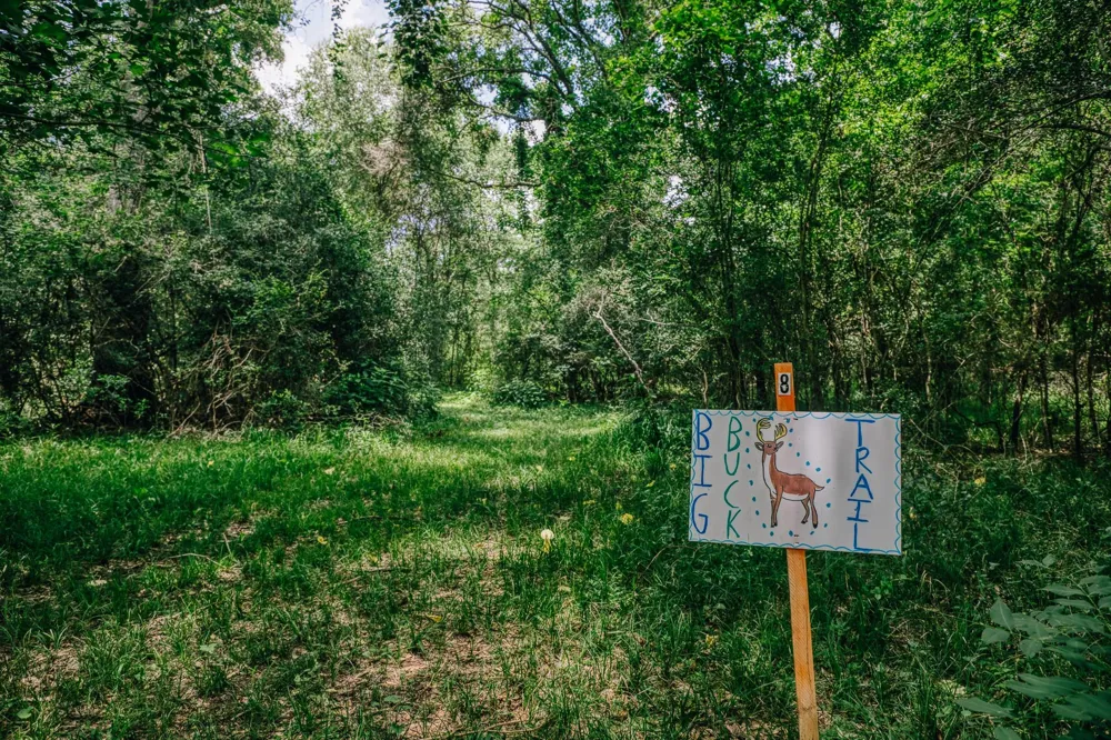 10822 Korthauer Bellville, TX 77418