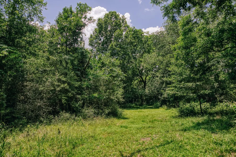 10822 Korthauer Bellville, TX 77418
