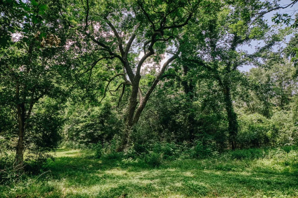 10822 Korthauer Bellville, TX 77418