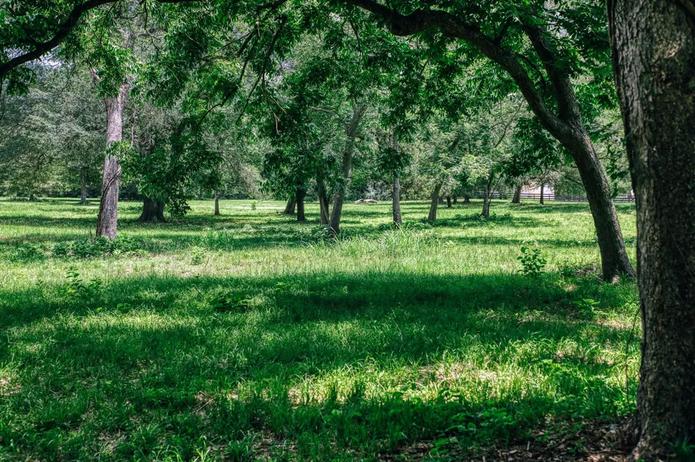 10822 Korthauer Bellville, TX 77418