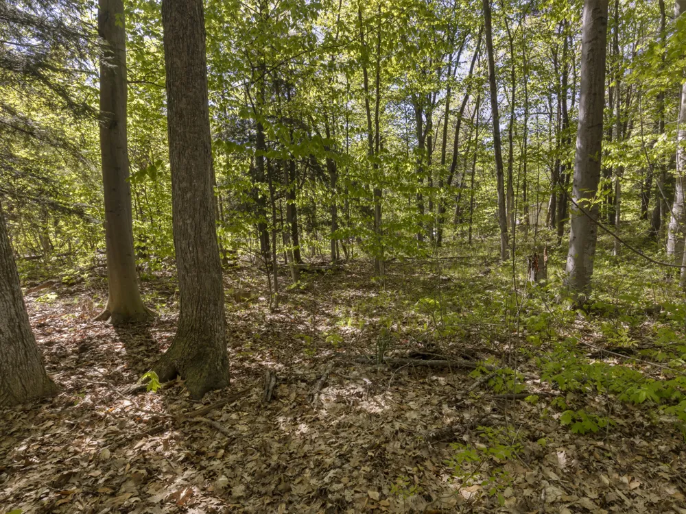 102104 Poplar Avenue Honor, MI 49640