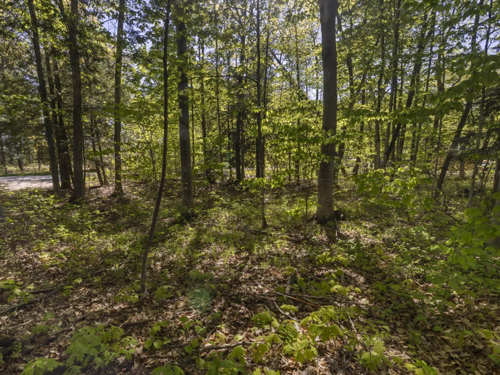 102104 Poplar Avenue Honor, MI 49640
