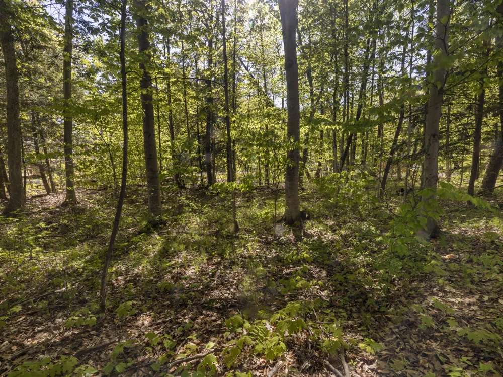 102104 Poplar Avenue Honor, MI 49640