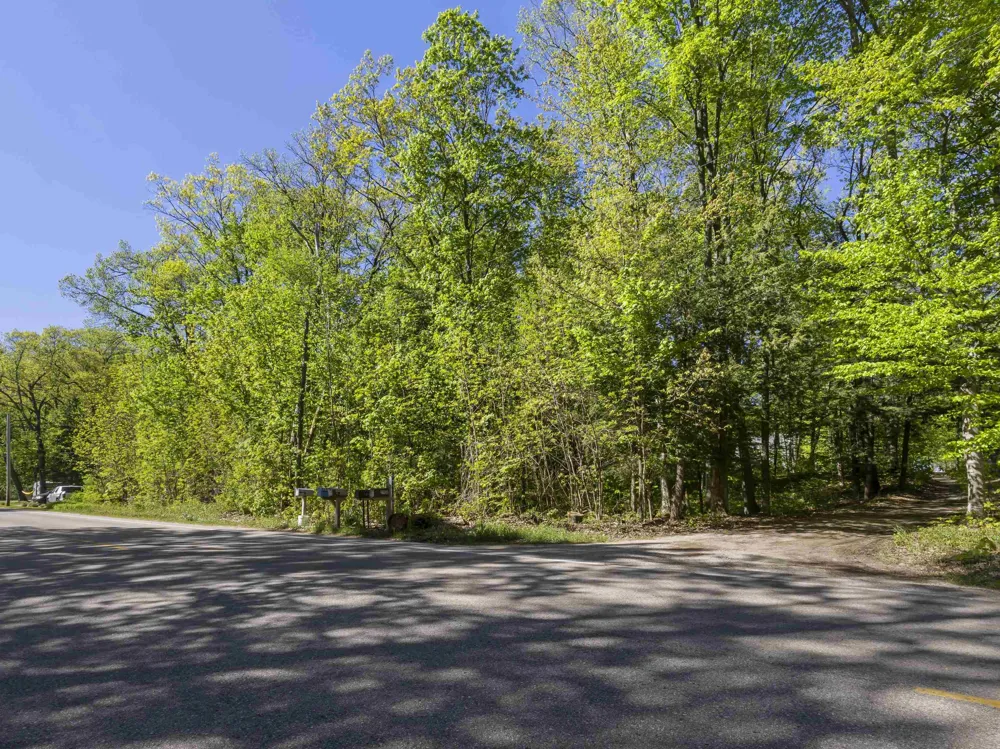 Poplar Avenue Lake Township, MI 49640