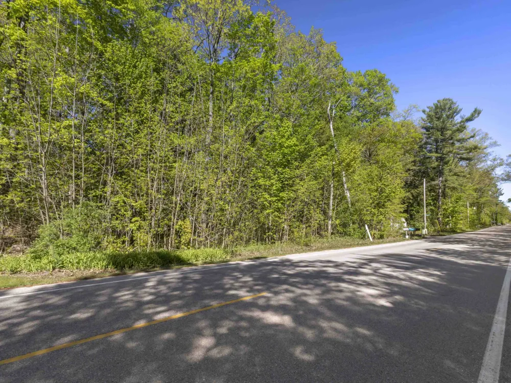 Poplar Avenue Lake Township, MI 49640