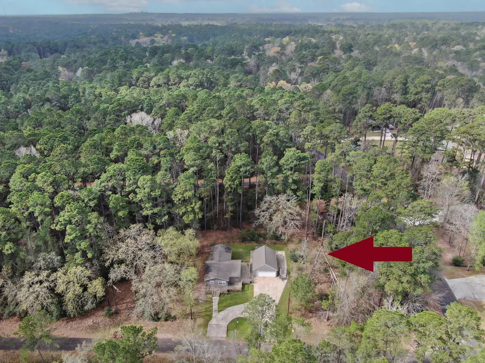 6 Forest Hollow Trinity, TX 75862