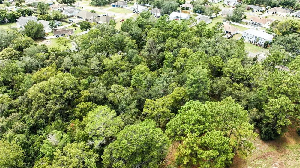 LINDEN DRIVE Spring Hill, FL 34608