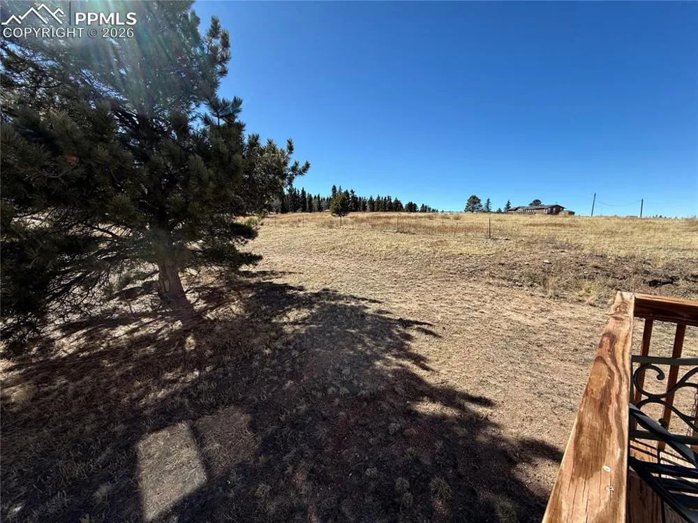 61 Stripling Lane Divide, CO 80814