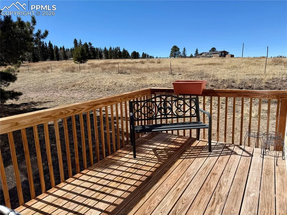 61 Stripling Lane Divide, CO 80814