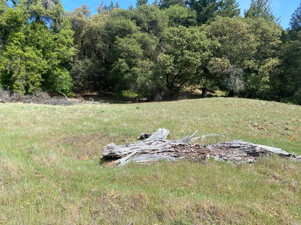 19010 Hulbert Road Yorkville, CA 95494