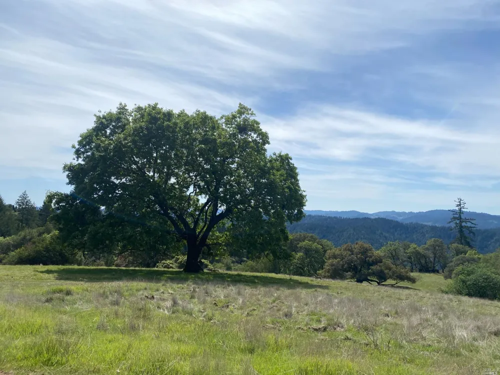 19010 Hulbert Road Yorkville, CA 95494