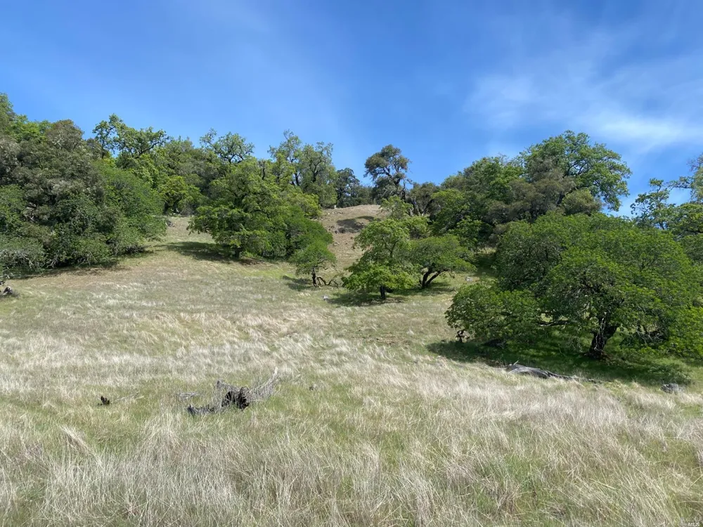 19010 Hulbert Road Yorkville, CA 95494