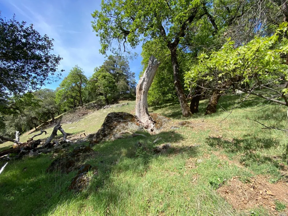 19010 Hulbert Road Yorkville, CA 95494