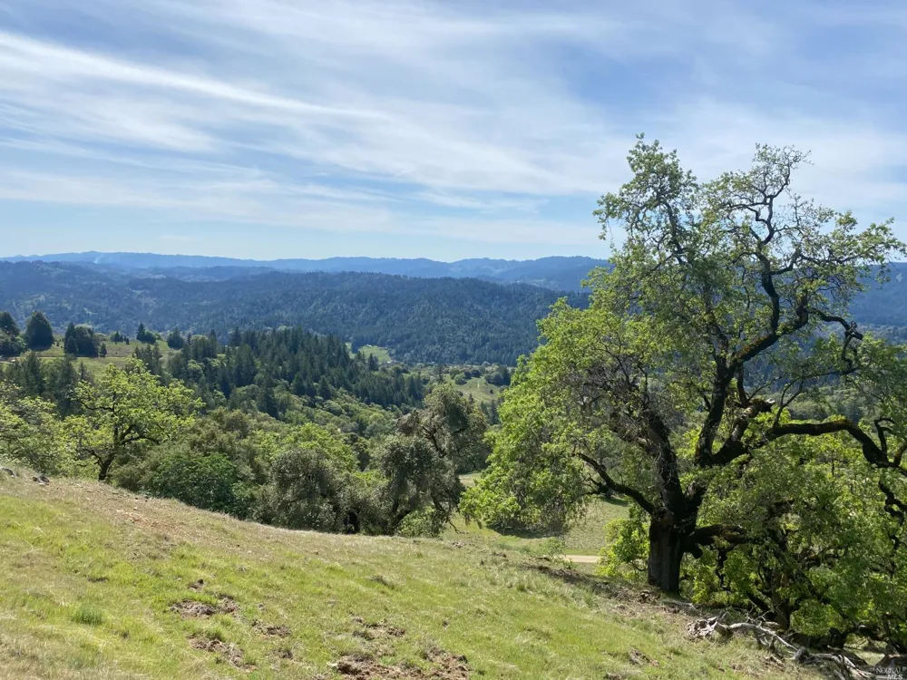 19010 Hulbert Road Yorkville, CA 95494