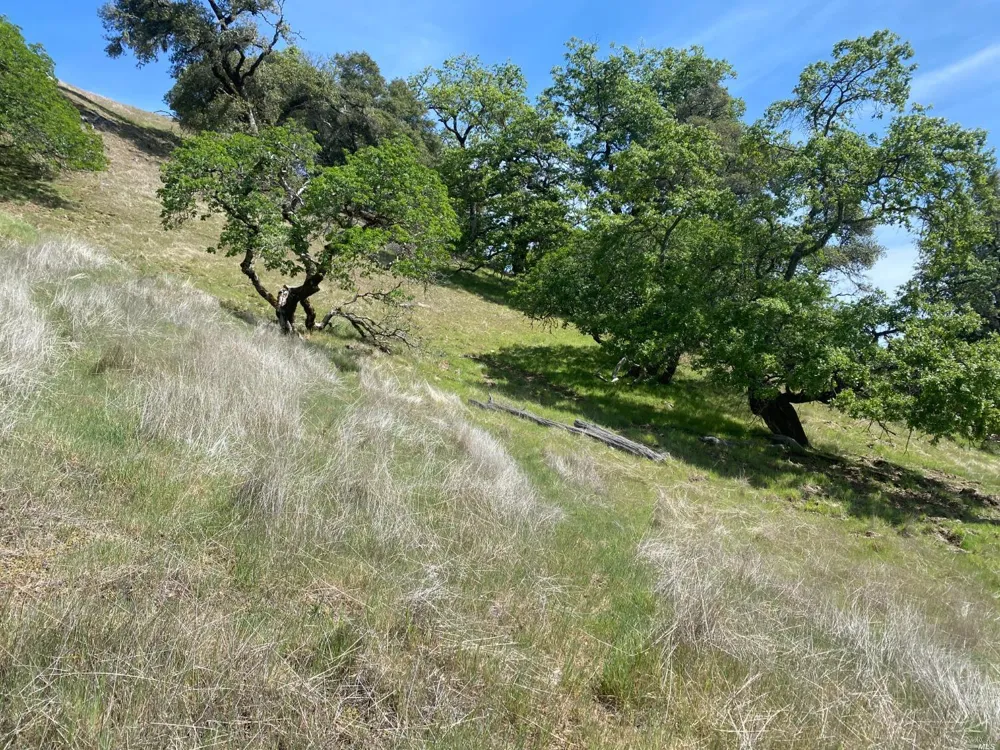 19010 Hulbert Road Yorkville, CA 95494