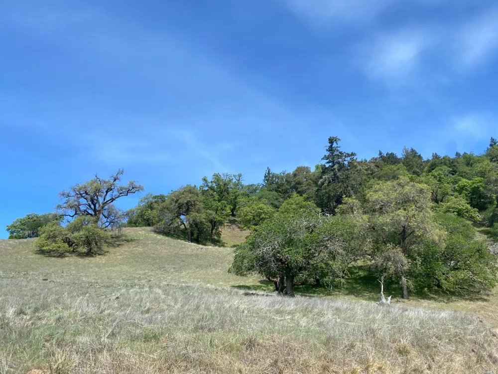 19010 Hulbert Road Yorkville, CA 95494