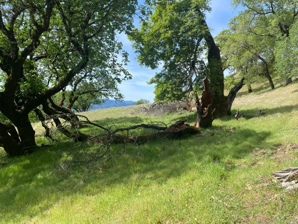 19010 Hulbert Road Yorkville, CA 95494
