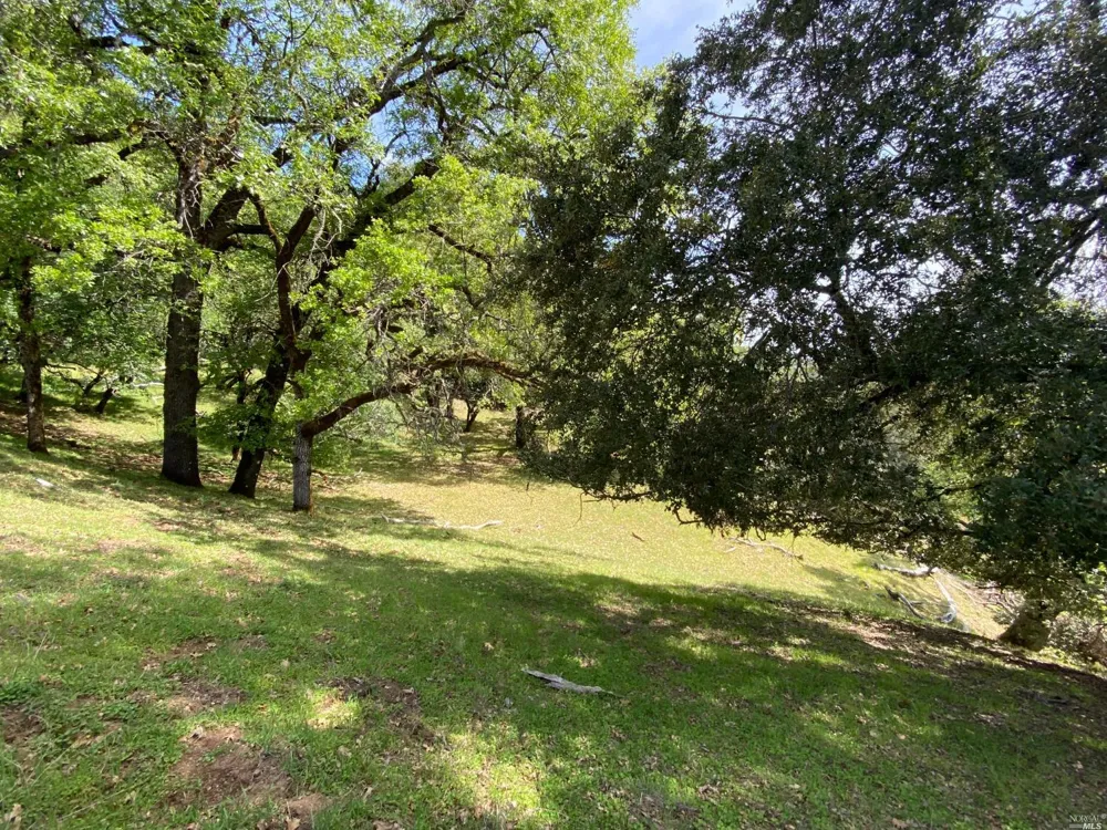 19010 Hulbert Road Yorkville, CA 95494
