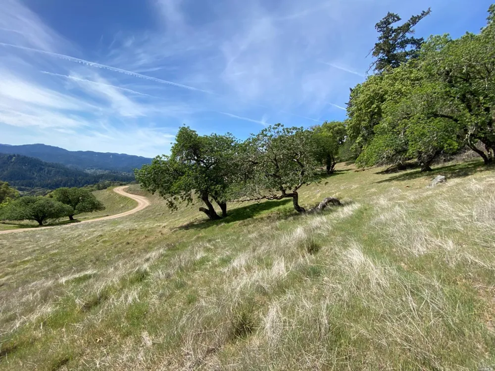 19010 Hulbert Road Yorkville, CA 95494