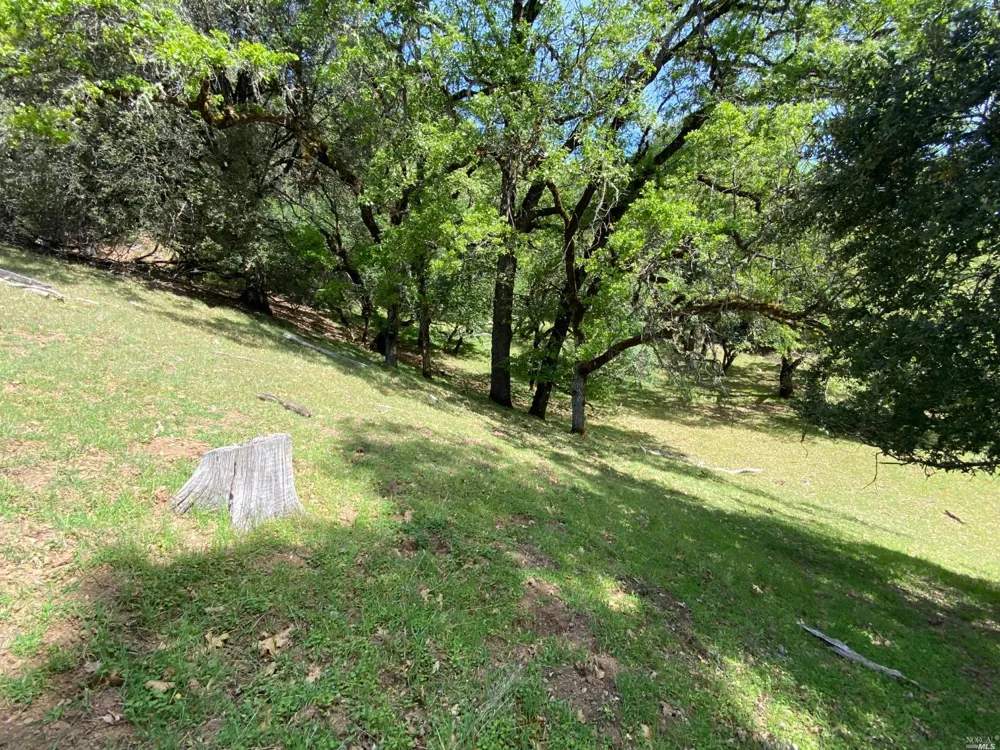 19010 Hulbert Road Yorkville, CA 95494