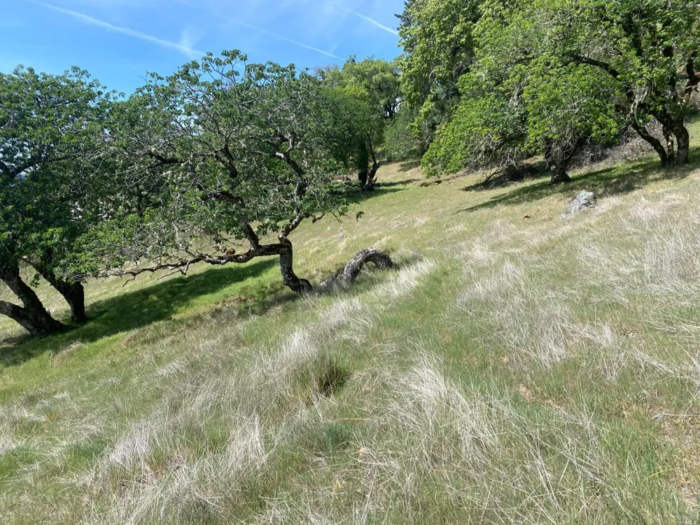 19010 Hulbert Road Yorkville, CA 95494