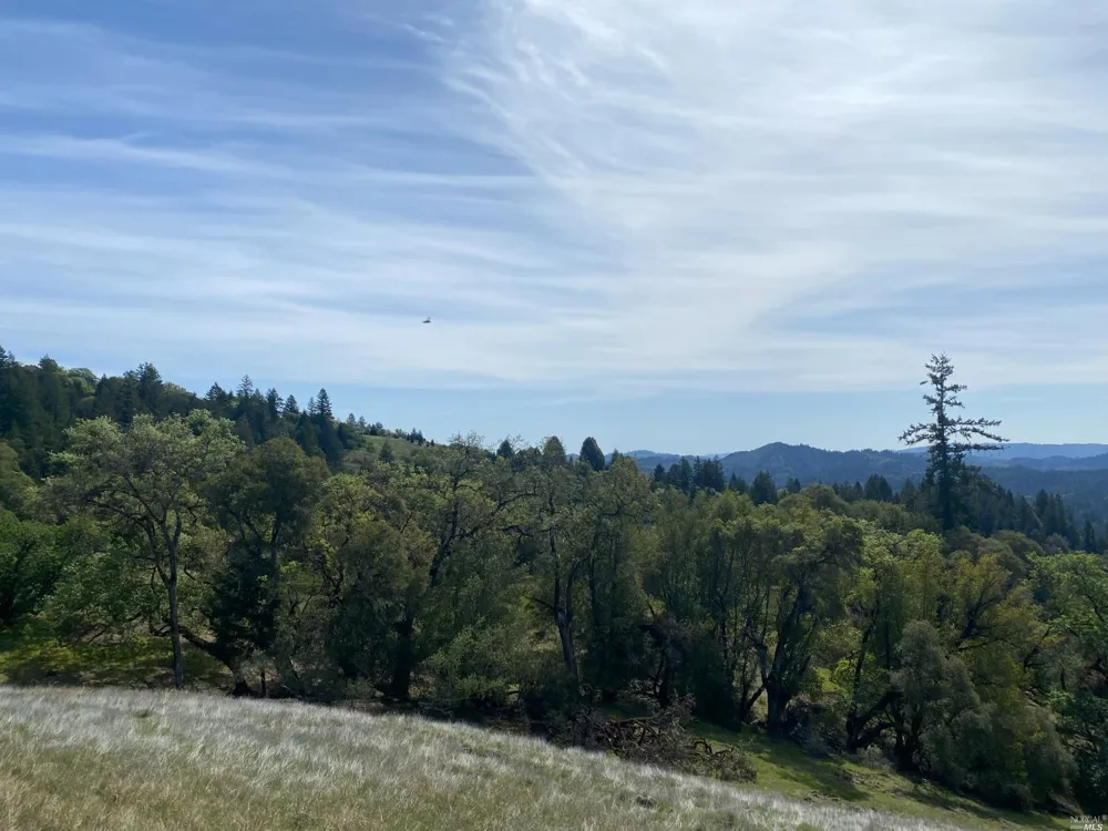 19010 Hulbert Road Yorkville, CA 95494