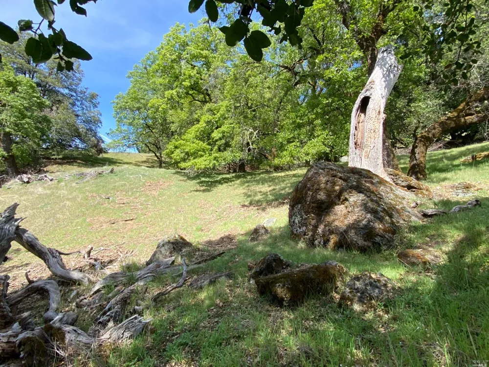 19010 Hulbert Road Yorkville, CA 95494